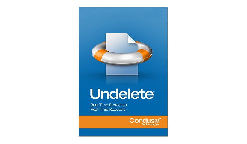 Undelete Professional Edition (v. 10) - maintenance (1 year) - 1 workstatio