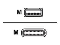 Zebra - USB-C cable - USB to 24 pin USB-C