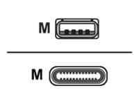 Zebra USB-C cable