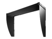 Eizo CH2400 - monitor screen visor