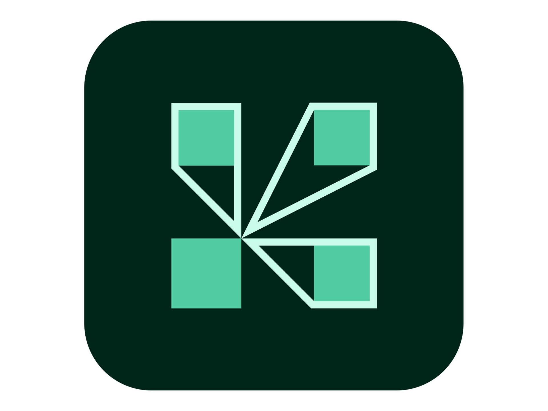 Adobe Connect Webinar Room Managed Services - subscription license (1 year)