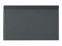 Middle Atlantic rack front door (solid) - 42U