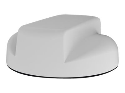 Panorama Great White - antenna