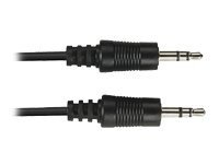 Black Box audio cable - 25 ft