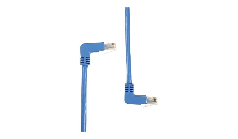 Black Box SpaceGAIN Down to Up - patch cable - 1 ft - blue