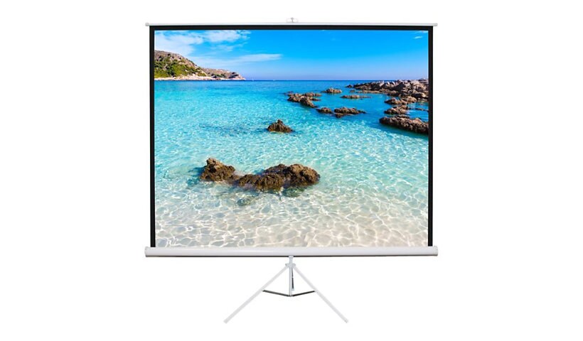 Buhl TPS-T50 - projection screen with tripod - 71" (180 cm)