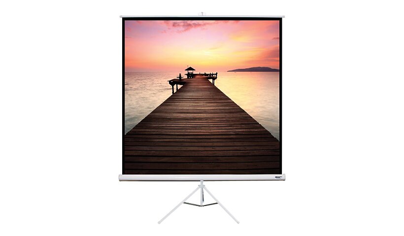 Hamilton Buhl Square Format - projection screen with legs - 99" (251 cm)