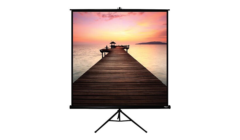 Hamilton Buhl Square Format - projection screen with legs - 99" (251 cm)