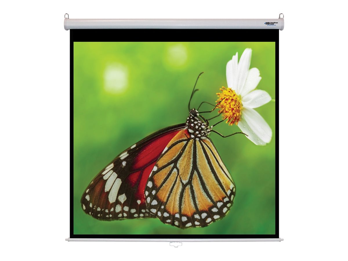 Hamilton Buhl Square Format - projection screen - 99" (251 cm)