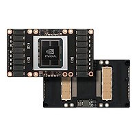 NVIDIA Tesla P100 - GPU computing processor - Tesla P100 - 12 GB