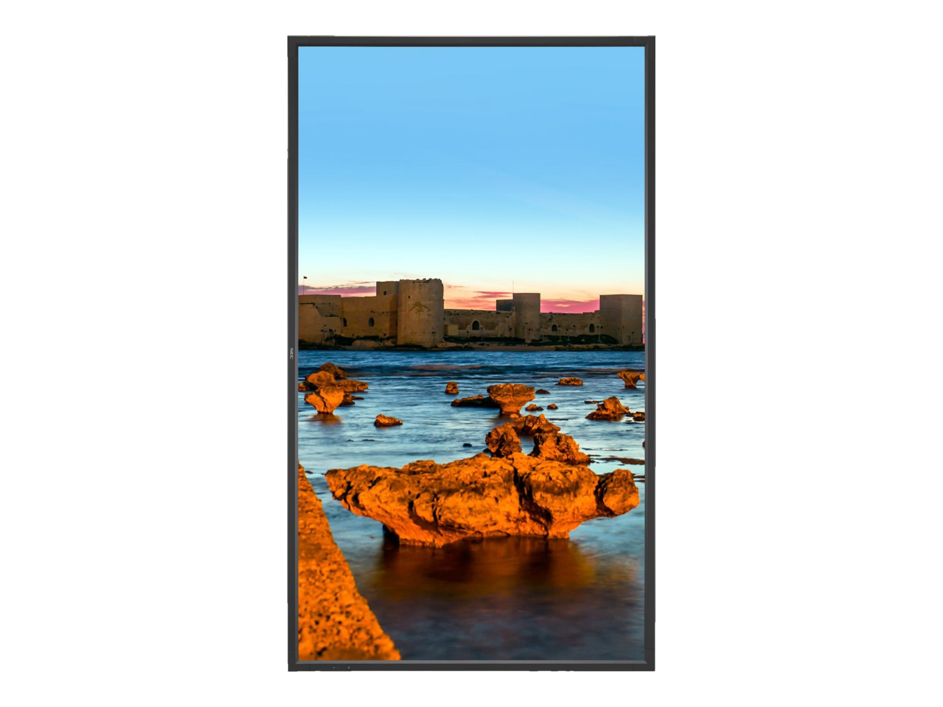 NEC MultiSync X551UHD-AVT2 55" LED-backlit LCD display - 4K