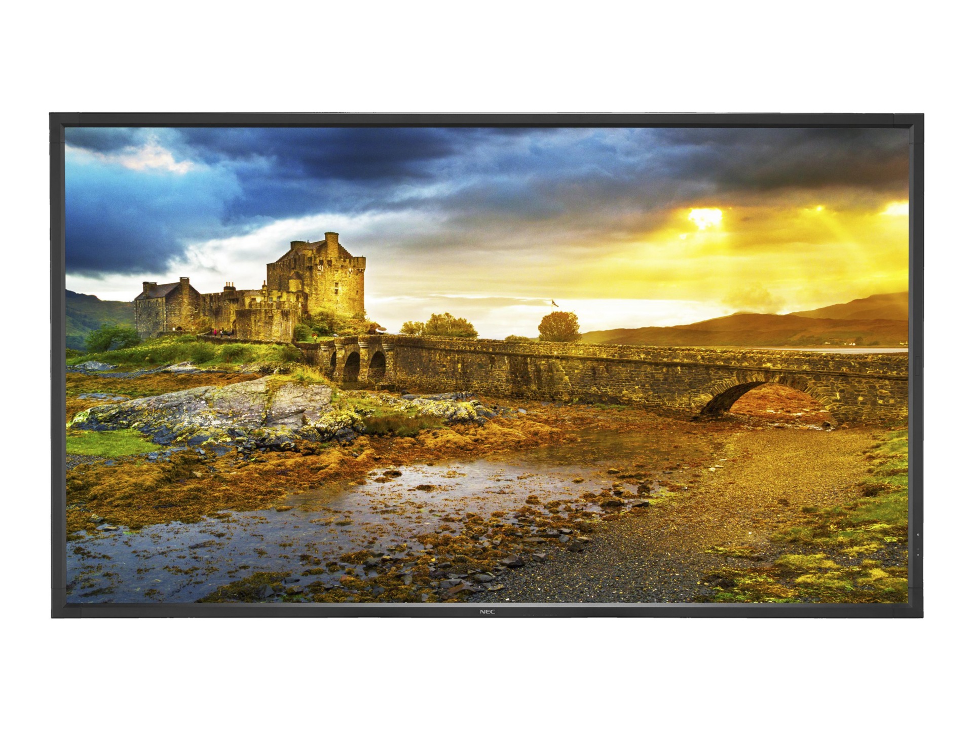 NEC MultiSync X651UHD-AVT2 65" LED display