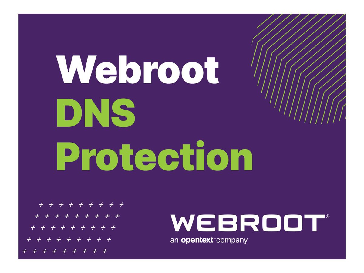 Webroot SecureAnywhere Business - DNS Protection - subscription license (1 year) - 1 PC/Server