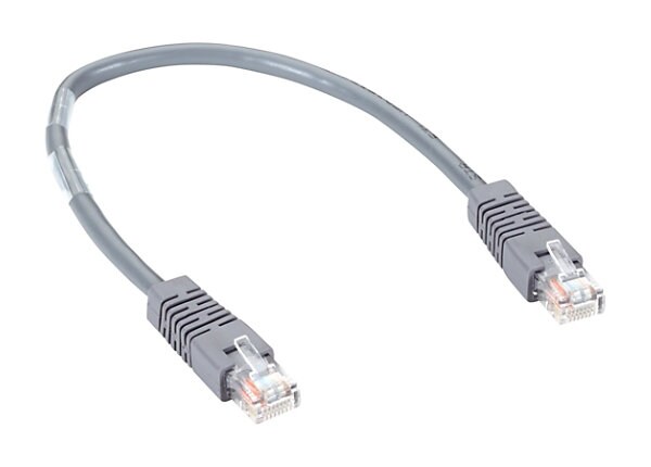 Black Box patch cable - 1 ft - gray
