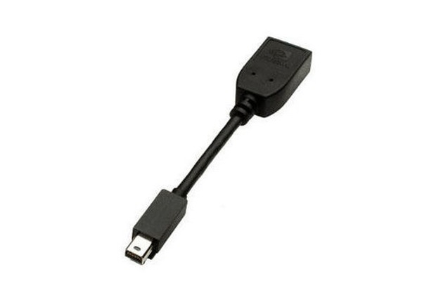 PNY DisplayPort adapter