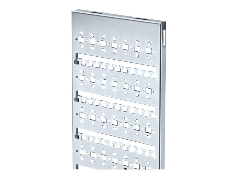 Rittal DK Cable route, vertical for TS 8 - cable routing strut