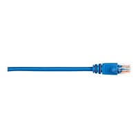 Black Box patch cable - 6.1 m - blue