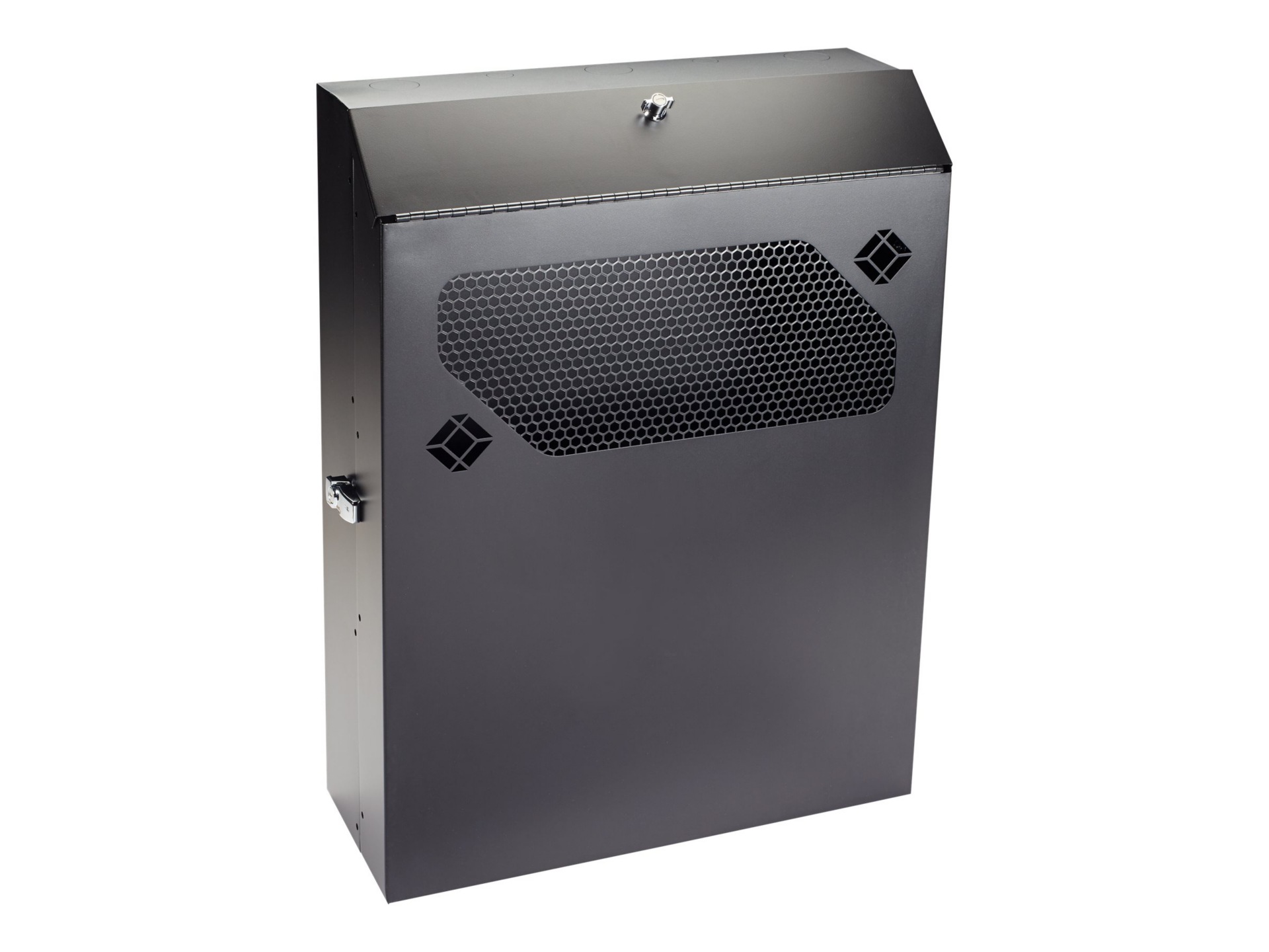 Black Box Low-Profile Vertical Wallmount Cabinet 36"D Equipment rack - 4U