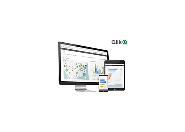 QLIK BASIC SENSE ENT MNT