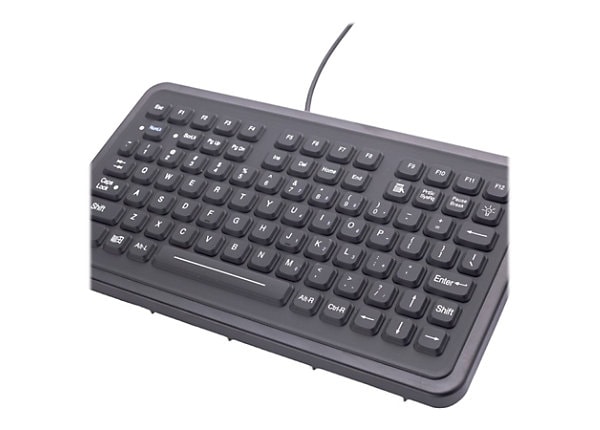 iKey SLP-88-PS2 Panel Mount - keyboard