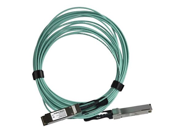 StarTech.com MSA Compliant QSFP+ Active Optical Cable (AOC) - 10 m (33')