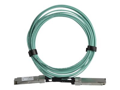 StarTech.com MSA Compliant QSFP+ Active Optical Cable (AOC) - 7 m (23')