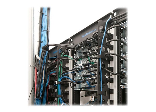 RackSolutions cable organizer - 44U