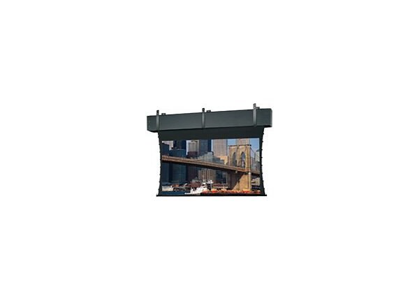 Da-Lite Tensioned Professional Electrol Video Format - projection screen - 210 in (209.8 in)