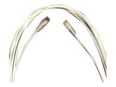 Net IG patch cable - 25 ft - white