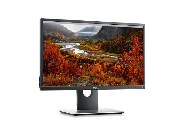 Dell HPG P2217H 22" Pro Monitor 250cd/m²