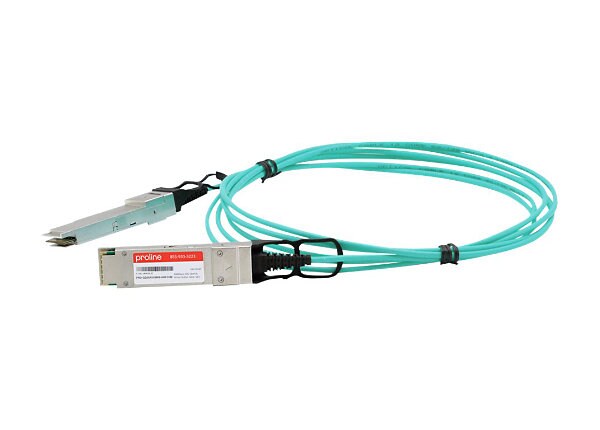 Proline 100GBase-AOC direct attach cable - 10 m