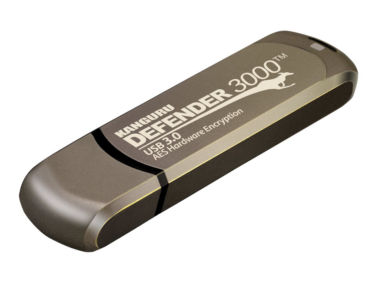 Kanguru Defender3000 FIPS 140-2 Certified Level 3, Encrypted Flash Drive, 6