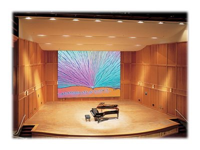 Draper Paragon/Series E AV Format - projection screen - 330 in (329.9 in)