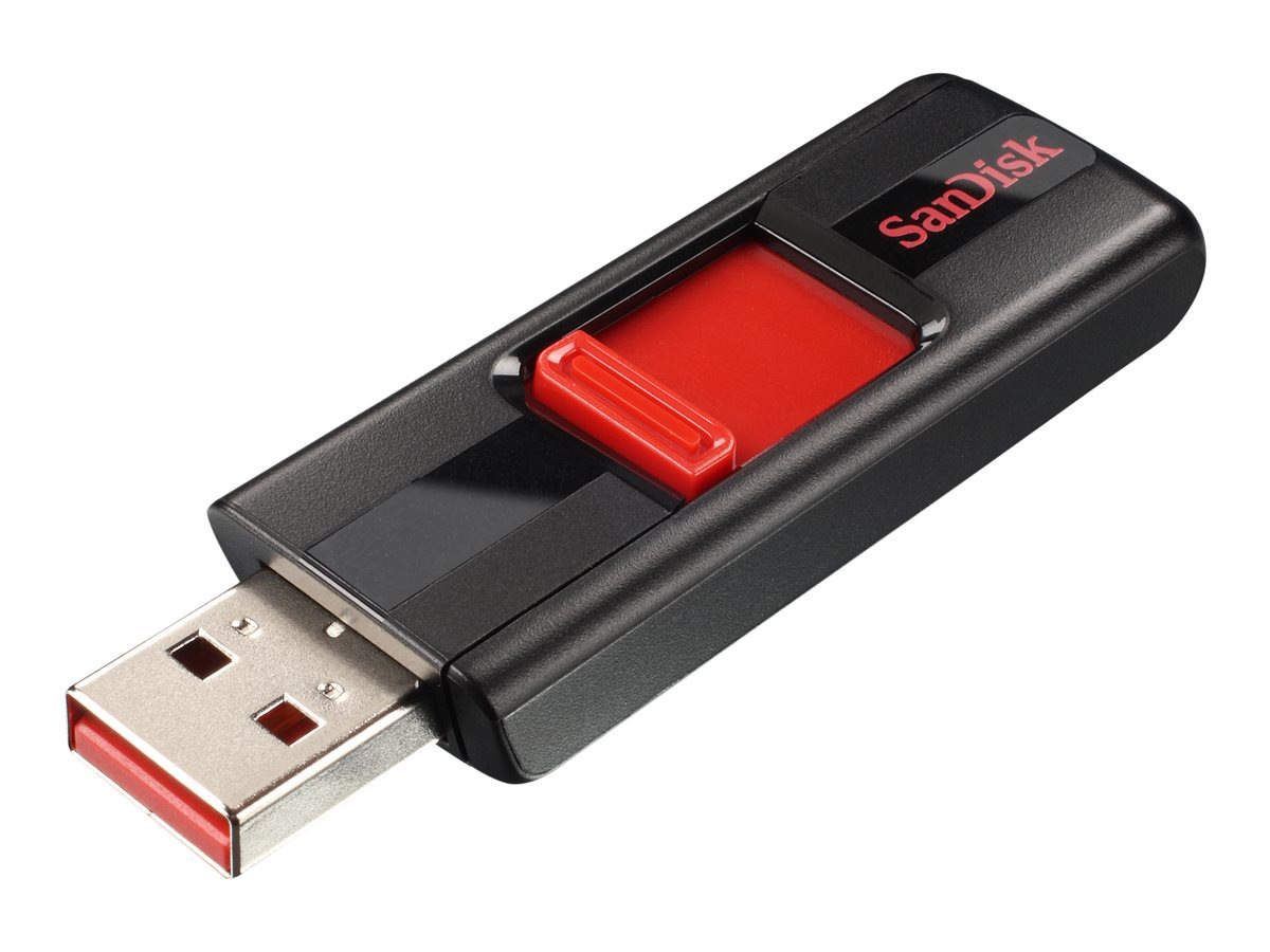 SanDisk Cruzer 256GB USB 2.0 Flash Drive