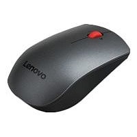 Lenovo Professional - mouse - 2.4 GHz - Campus
