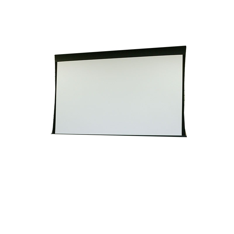 Draper Custom Access V TVX Electric Projection Screen - Matte White