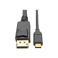 Tripp Lite USB C to DisplayPort 4k Adapter Cable M/M 6ft