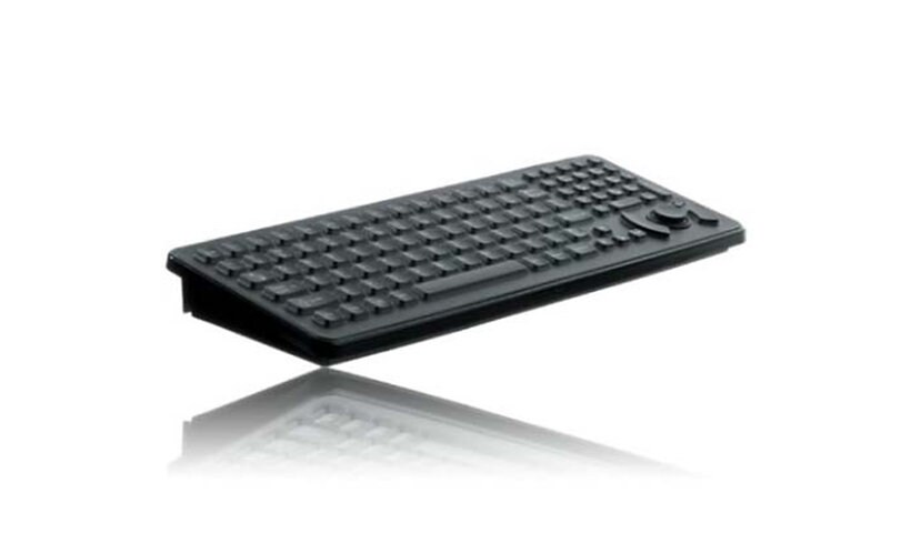 iKey SlimKey SK-102-461-M - keyboard - with HulaPoint