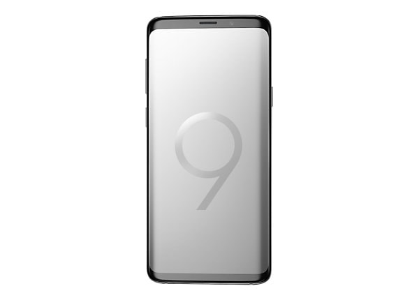 Samsung Galaxy S9+ - titanium gray - 4G - 64 GB - TD-SCDMA / UMTS / GSM - smartphone