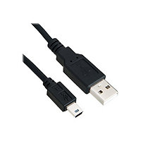 Axiom - USB cable - USB to mini-USB Type B - 6 ft