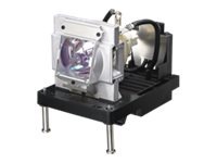 Vivitek projector lamp