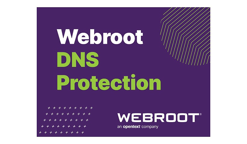 Webroot SecureAnywhere Business - DNS Protection - subscription license (3 years) - 1 PC/Server