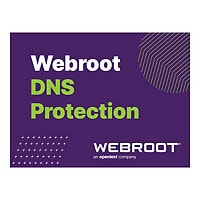 Webroot SecureAnywhere Business - DNS Protection - subscription license (3