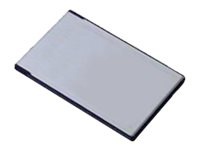 Synchrotech SRAM PCMCIA Memory PC Cards Replaceable Battery - flash memory card - 256 KB - PC Card
