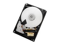 HGST Ultrastar 7K4000 HUS724040ALS641 - hard drive - 4 TB - SAS 6Gb/s