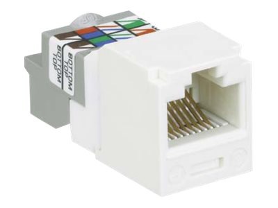 Panduit MINI-COM TX6 Plus UTP Jack Module - modular insert