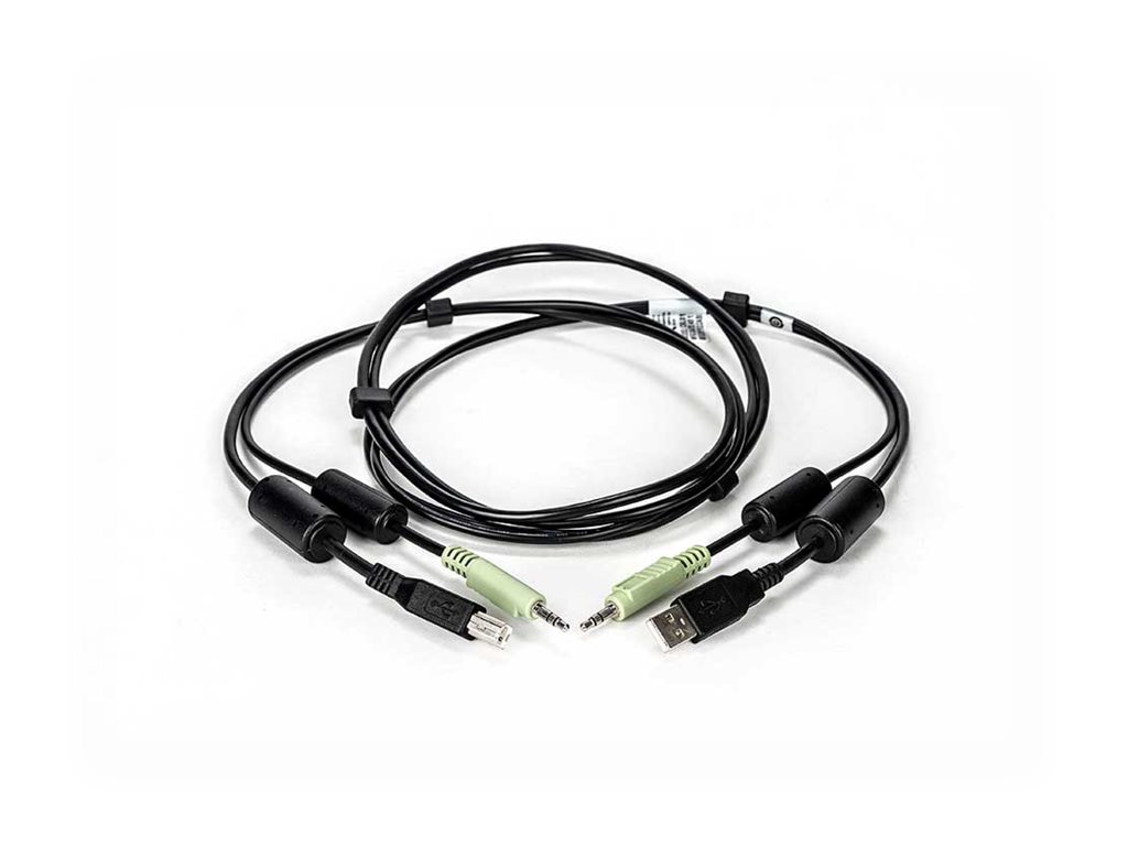 Cybex - USB / audio cable - 6 ft