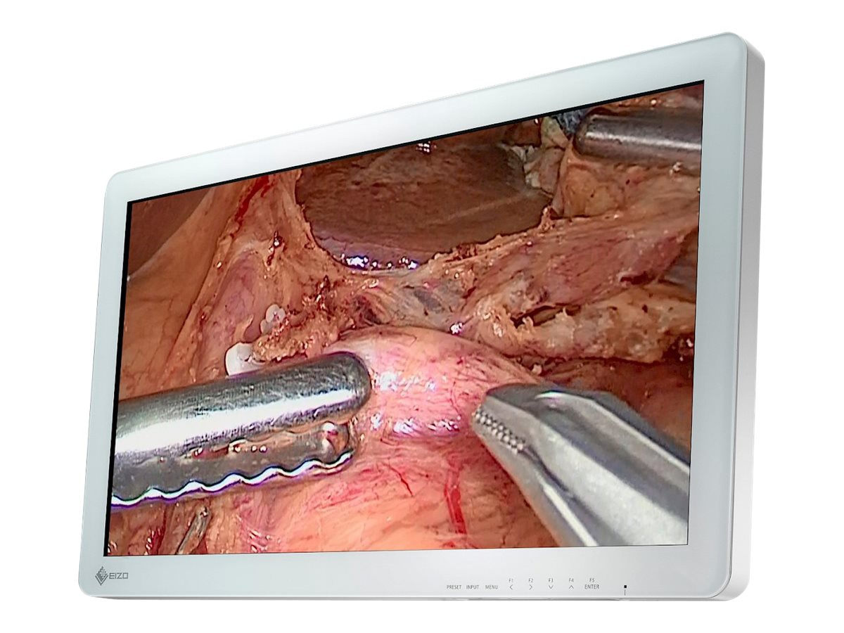 EIZO CuratOR EX2620 - LED monitor - Full HD (1080p) - 26"