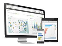 Qlik Sense Enterprise - subscription license (1 year) - 1 analyzer user