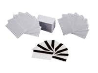 Zebra Premier Plus - cards - 100 card(s) (pack of 5)